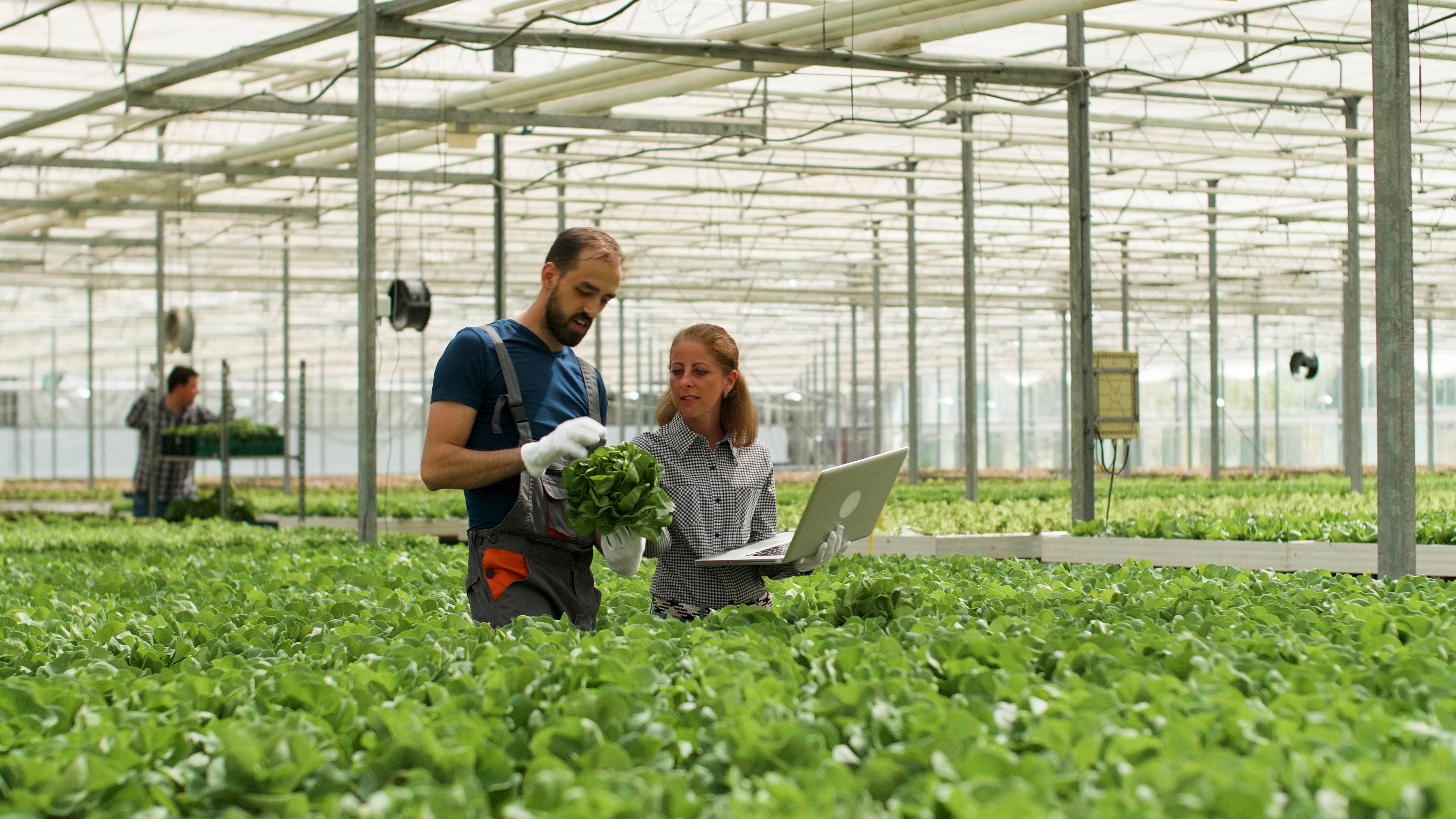 Agricultura Urbana